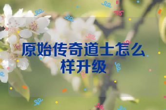 原始传奇道士怎么样升级