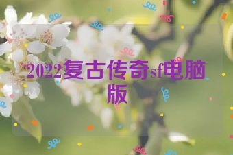 2022复古传奇sf电脑版