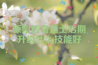 原始传奇道士后期升级什么技能好