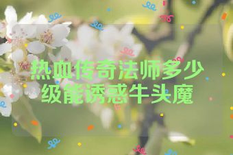 热血传奇法师多少级能诱惑牛头魔