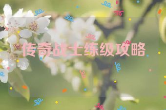 传奇战士练级攻略