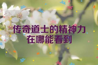 传奇道士的精神力在哪能看到
