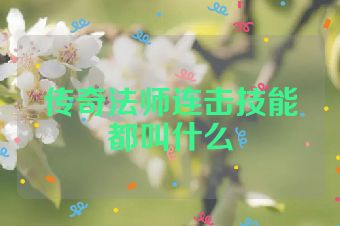 传奇法师连击技能都叫什么