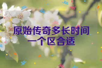 原始传奇多长时间一个区合适