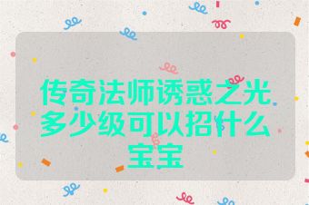 传奇法师诱惑之光多少级可以招什么宝宝
