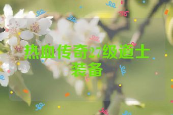 热血传奇27级道士装备