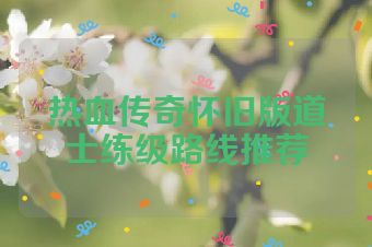 热血传奇怀旧版道士练级路线推荐