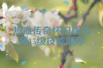 热血传奇怀旧版法师15级技能顺序