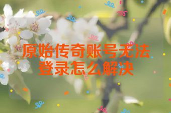 原始传奇账号无法登录怎么解决