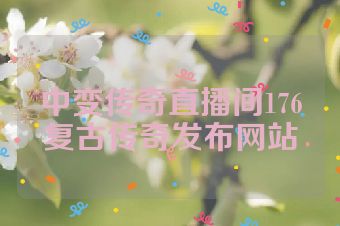 中变传奇直播间176复古传奇发布网站