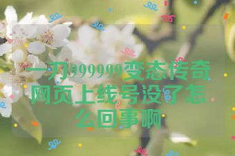 一刀999999变态传奇网页上线号没了怎么回事啊
