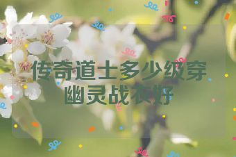 传奇道士多少级穿幽灵战衣好