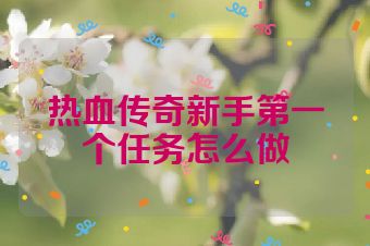 热血传奇新手第一个任务怎么做