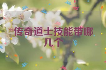 传奇道士技能带哪几个
