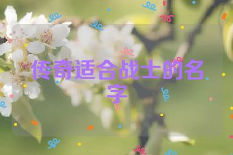传奇适合战士的名字