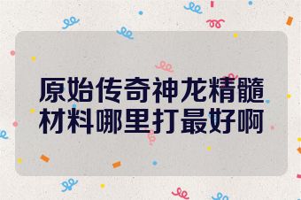原始传奇神龙精髓材料哪里打最好啊