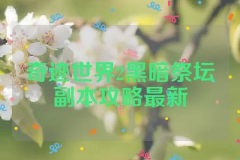 奇迹世界2黑暗祭坛副本攻略最新
