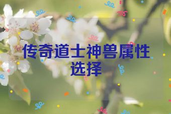 传奇道士神兽属性选择