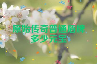 原始传奇普通盾牌多少元宝