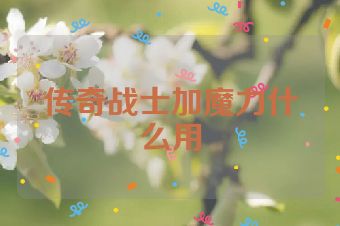 传奇战士加魔力什么用