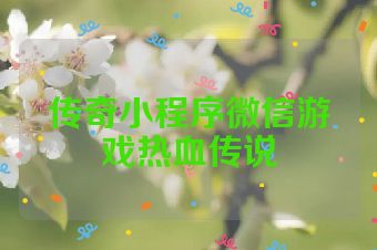 传奇小程序微信游戏热血传说