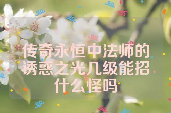 传奇永恒中法师的诱惑之光几级能招什么怪吗
