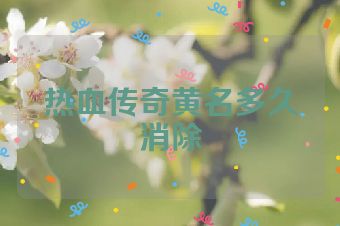 热血传奇黄名多久消除
