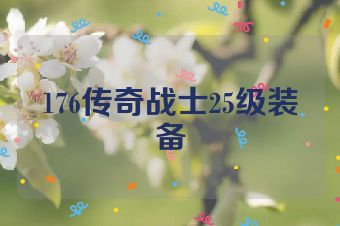176传奇战士25级装备