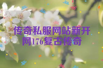 传奇私服网站新开网176复古传奇