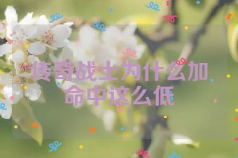 传奇战士为什么加命中这么低