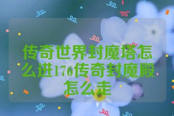传奇世界封魔塔怎么进176传奇封魔殿怎么走