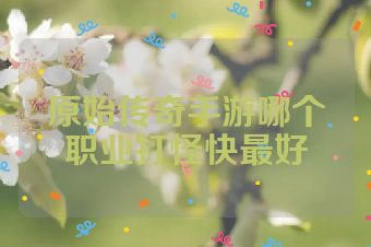 原始传奇手游哪个职业打怪快最好