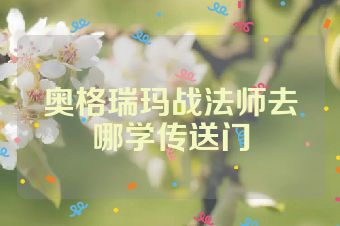 奥格瑞玛战法师去哪学传送门