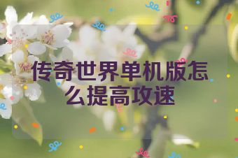 传奇世界单机版怎么提高攻速