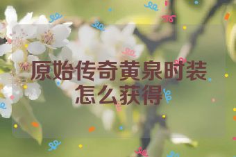 原始传奇黄泉时装怎么获得