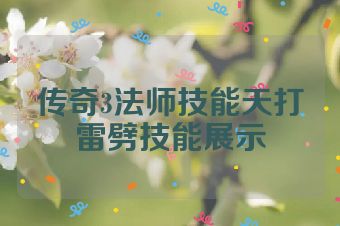 传奇3法师技能天打雷劈技能展示
