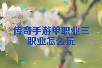 传奇手游单职业三职业怎么玩