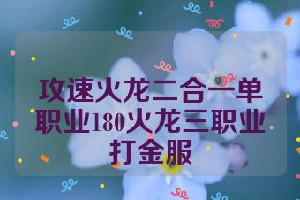 攻速火龙二合一单职业180火龙三职业打金服