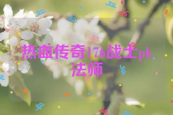 热血传奇176战士pk法师