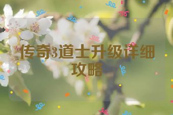 传奇3道士升级详细攻略