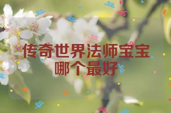 传奇世界法师宝宝哪个最好