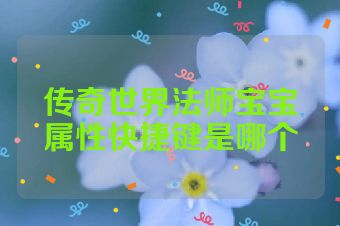 传奇世界法师宝宝属性快捷键是哪个