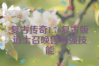 复古传奇1.76复古版道士召唤兽加强技能