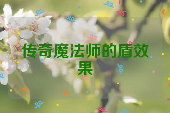 传奇魔法师的盾效果