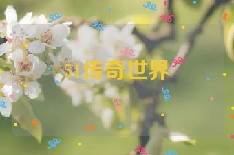 51传奇世界