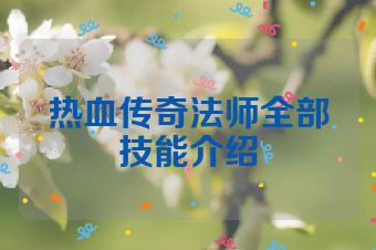 热血传奇法师全部技能介绍