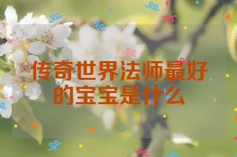 传奇世界法师最好的宝宝是什么