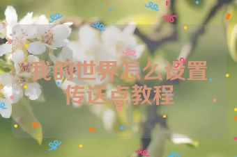 我的世界怎么设置传送点教程