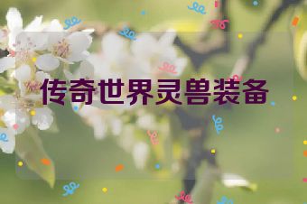 传奇世界灵兽装备