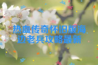 热血传奇怀旧版海边老兵攻略最新